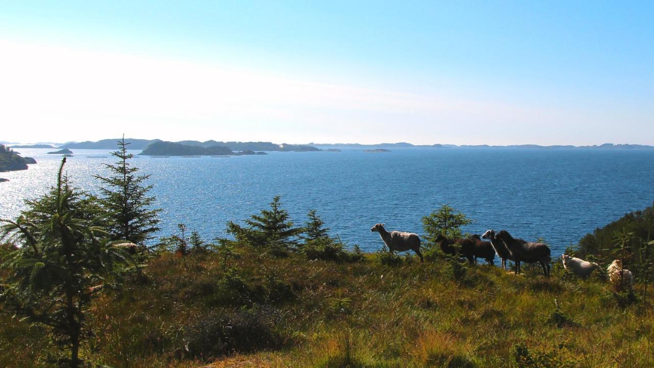 Apartmán Kobbaneset Hk - Tett Pa Havet - Bekkjarvik Exteriér fotografie