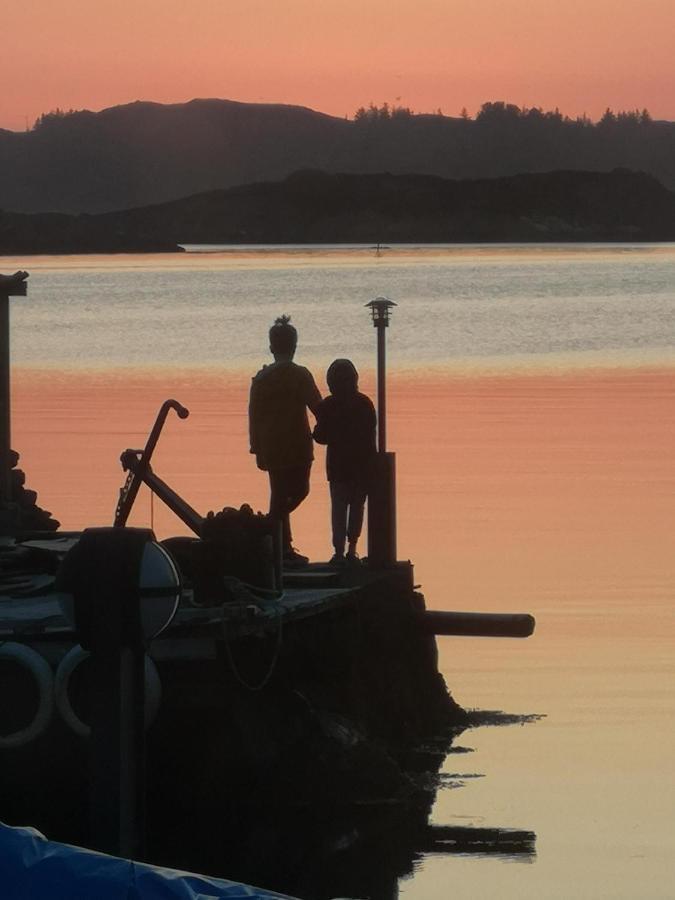 Apartmán Kobbaneset Hk - Tett Pa Havet - Bekkjarvik Exteriér fotografie