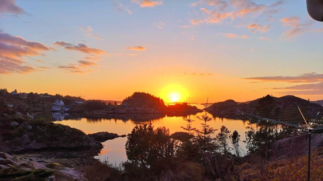Apartmán Kobbaneset Hk - Tett Pa Havet - Bekkjarvik Exteriér fotografie